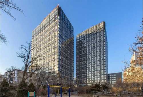 教堂小短杆菌菌株