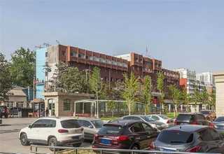 延安DHA藻油如何